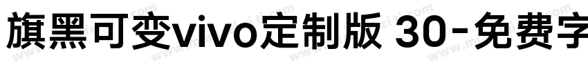 旗黑可变vivo定制版 30字体转换